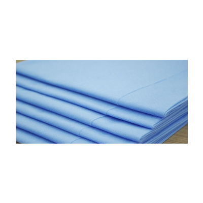 Disposable Flat Sheet 200x70cm; Box of 200 - Free Shipping AU