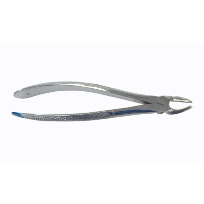 DENTAL INSTRUMENT- FORCEPS EXTRACTION
